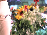 Video Clip - A floweriest about to water flowers looks into the camera