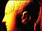 Video Clip - Parts of a brain is distinguished with different numbers