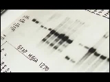 Video Clip - DNA strand and it