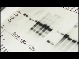 Video Clip - DNA strand and it