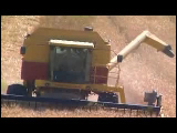 Video Clip - Grain harvesting and processing
