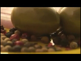 Video Clip - Assortment of vegetables
