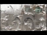 Video Clip - Lots of birds scavenging off of waste material in a garbage dump yard which is being cleared by a bulldozer